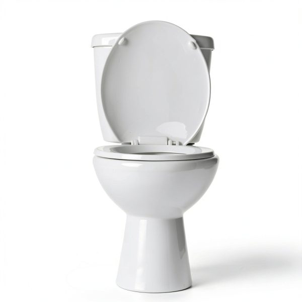 Put Me Down Toilet Seat Sticker | Make Your Life Better with This Heavy Duty Vinyl Bathroom Reminder Decal (2.25 Inch)-2