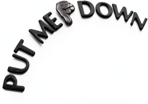 Put Me Down Decal Toilet Seat Sticker BERRYZILLA Waterproof Black 8x3-1